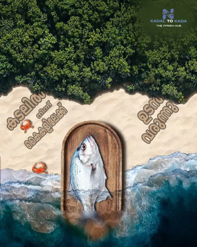 WORKS/Best Digital Marketer In Malappuram,Kerala| Graphic designer